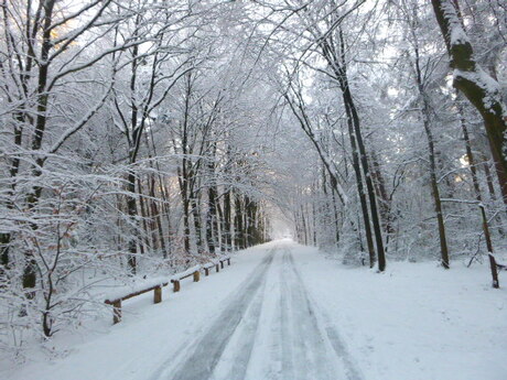 The long and winding road by Elle Hart