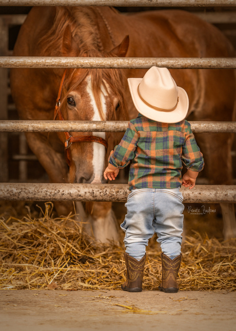 Little cowboy