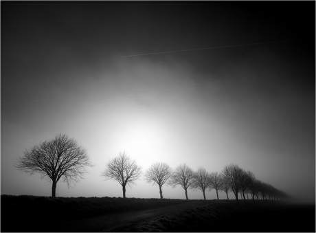 Zeeuwse mist [671]