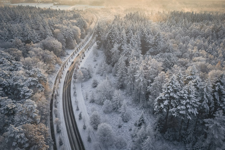 Winter Road