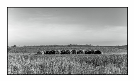 Hooibalen Broek in Waterland