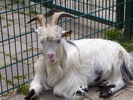 Uuh had je het tegen mij