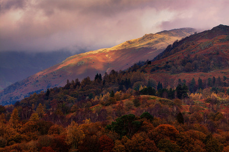 White moss hills Grasmere