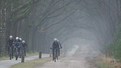 Op een mistige zondagmorgen