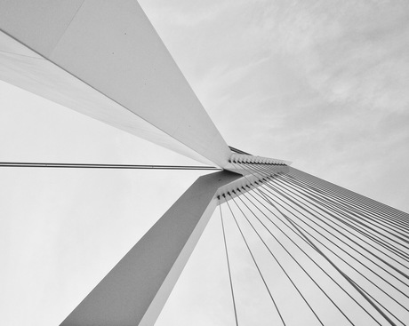 Erasmusbrug Rotterdam