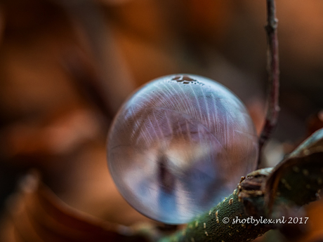 Frozen bubble