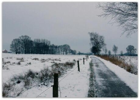 Winter Walk Belgium