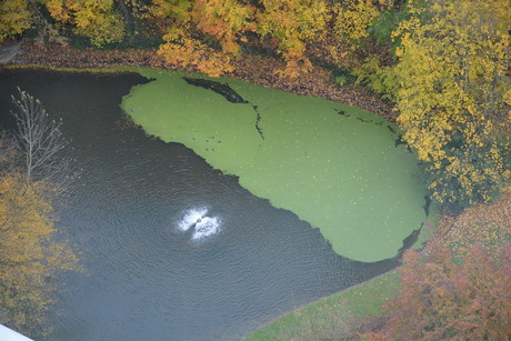 Herfst 