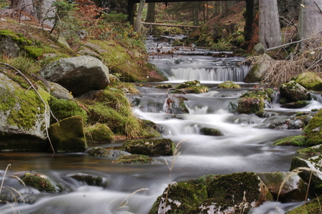 Beekje in Bayerischer Wald