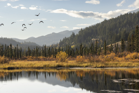 Canadees landschap