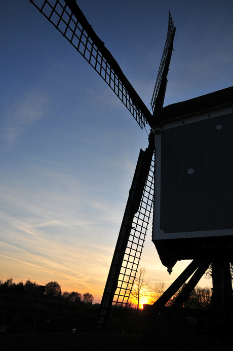 Molen