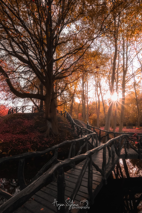 Autumn bridge