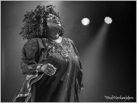 Michelle David @ Southern Bluesnight.