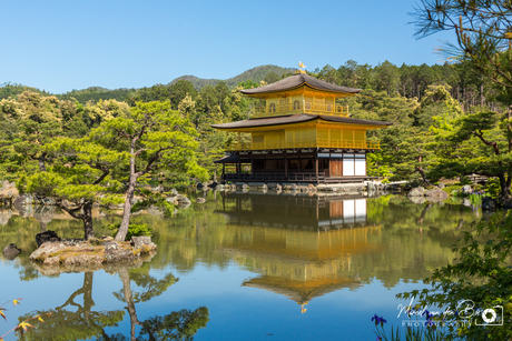 Kinkaku-ji, the Golden Pavilion