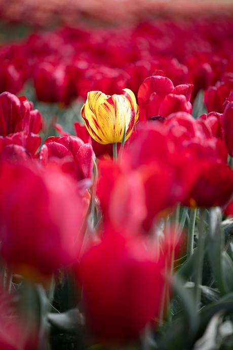 Be different
