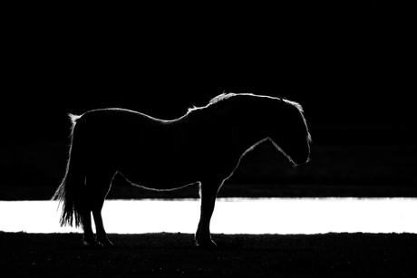 Stilte in het donker