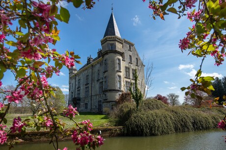 Kasteel in bloesem
