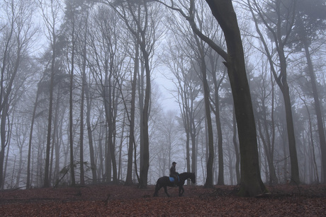 Je kunt soms mooi de mist in gaan