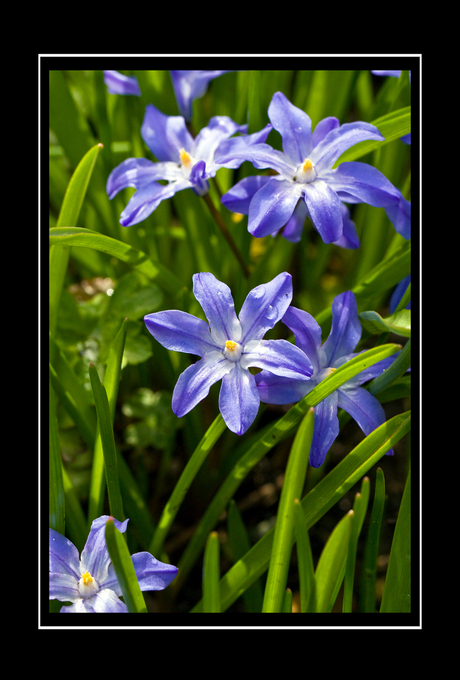 Lente in Twente