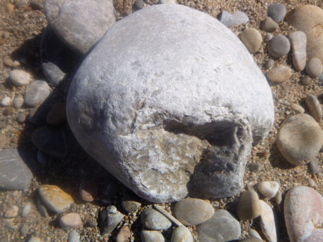 Skull in the Sand by Elle Hart