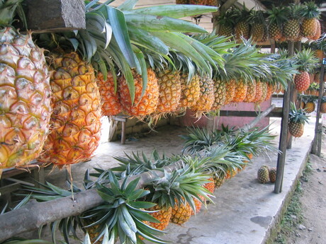 Verse ananas in Indonesië