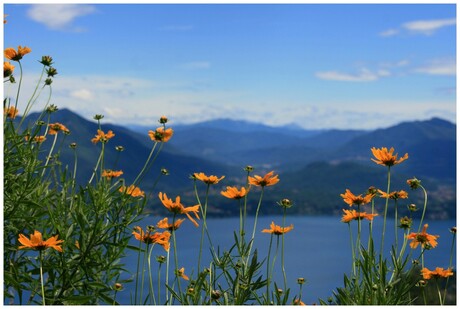 Lago Maggiore