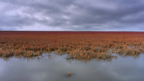 'Hoarizonbreed en himelheech'