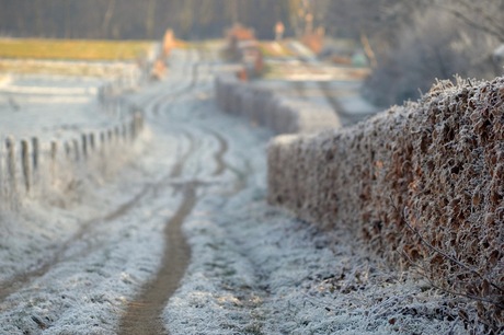 Winterpad Nijmegen