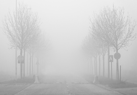 Een weg die verdwijnt in de mist