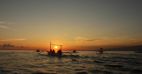 Dolphin spotting Lovina (Bali)