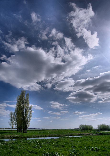 Zaans Rietveld