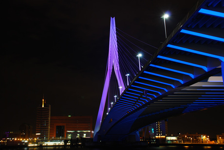 Erasmusbrug Rotterdam