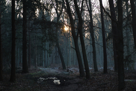 Koude winterse namiddag