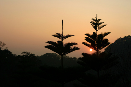 sunset over the jungle