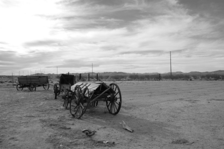 Lonely in the arizona desert.JPG