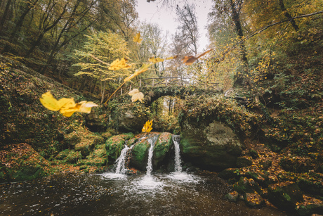 Autumn cascade.