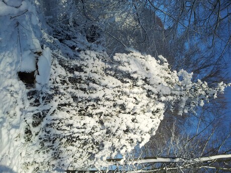 Bankje in de sneeuw