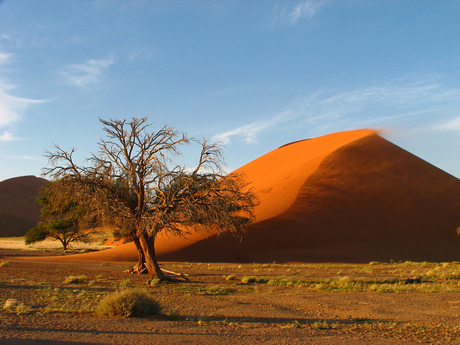 Dune45 Namibië