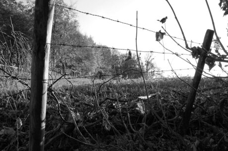 Landschap Valkenburg bewerkte versie