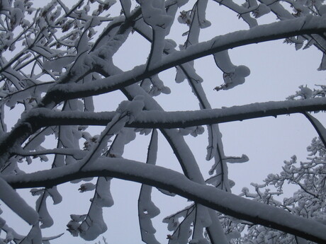 drie lagen sneeuw