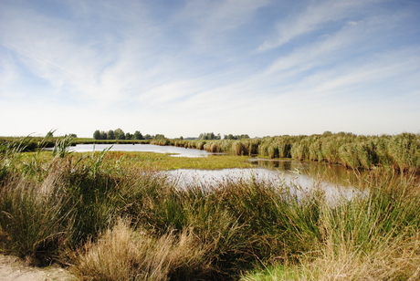 De Groene Jonker