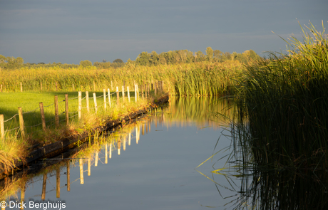 Slootje in de ochtendzon