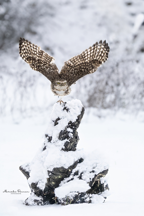 Klaar voor de start?