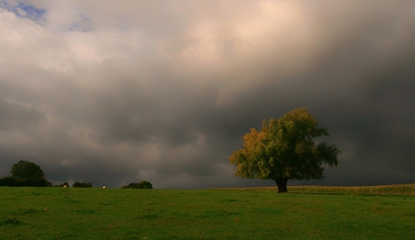 Wandeling