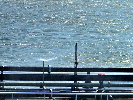 binnenvaart