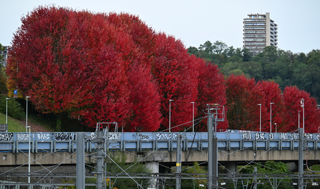 Herfst