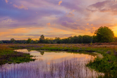 zonsondergang op de heide