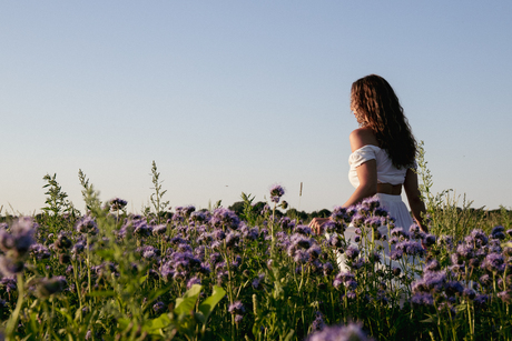 Purple Summer 