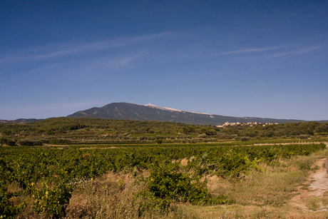 Uitzicht op de mont Ventoux