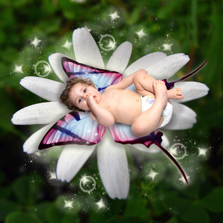 Baby butterfly